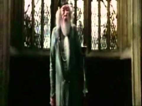 Fresh D - Mein Fleisch feat. Hermine