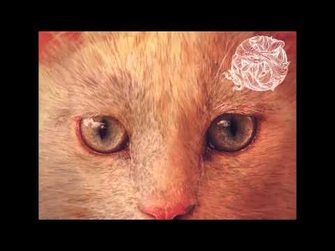 download lagu mp3 mp4 Coyu Balls, download lagu Coyu Balls gratis, unduh video klip Download Coyu Balls Mp3 dan Mp4 Free All Gratis