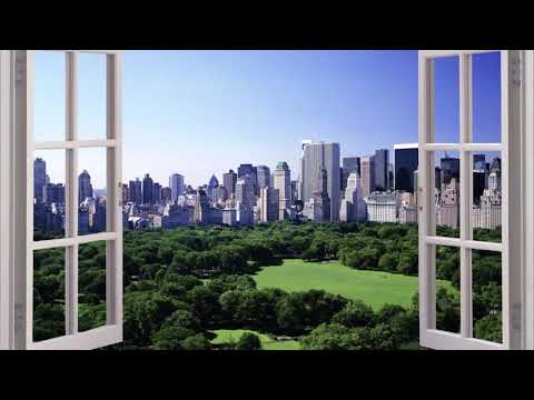 DŽON MAKSVEL / KLJUČ USPEHA