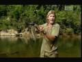 Crocodile Hunter River Of The Dammed Part 3 5