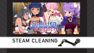 Steam Cleaning - Sakura Knight 2
