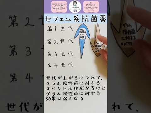 薬学科 【薬学部生・新人薬剤師向け】セフェム系抗菌薬の各世代特徴