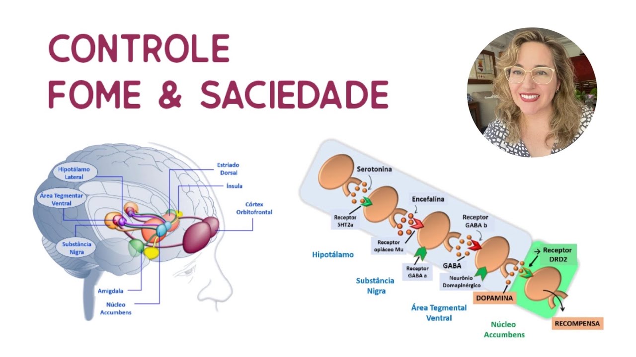 81 - Controle hipotalâmico da fome e saciedade