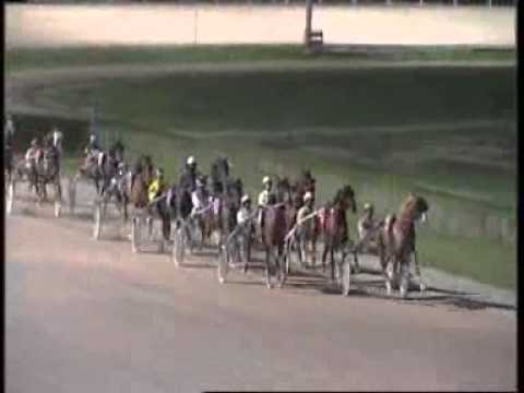 www kennethvella.com  Meeting (35) Date 31-10-2014 Race 1,2,3,4,5,6,7,8