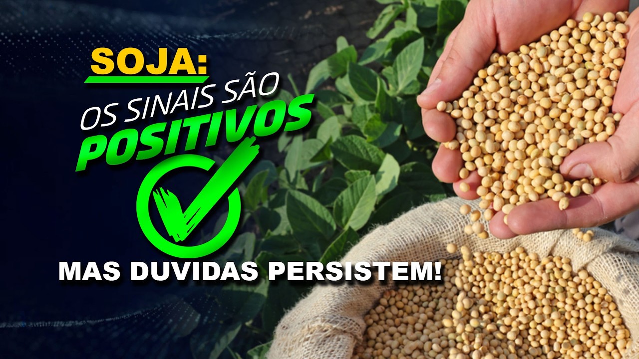 SOJA: SINAIS SÃO POSITIVOS, MAS DUVIDAS PERSISTEM!
