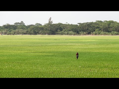 Introduction to system dynamics modelling