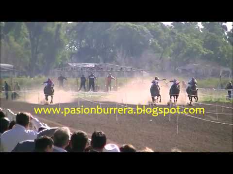 Falta Envido, Curuzu Cuatia (29-06-14)