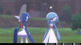 [閒聊] 色違沙奈朵與艾路雷朵之間的對話