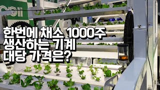 한번에 채소 1000주 생산하는 스마트 설비의 대당 가격과  투자비 회수 기간은?