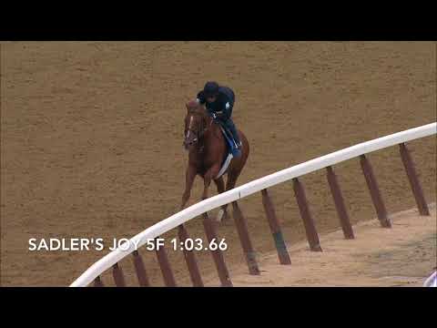Sadler's Joy work - June 3, 2018
