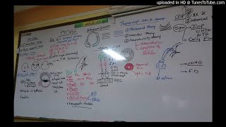 18) Dr. Wael Salah primary open angle glucoma 1