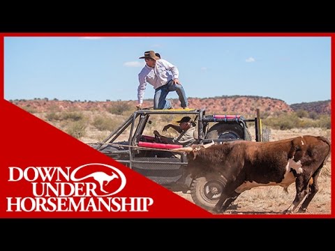 Clinton Anderson - Outback Adventure 4 of 14
