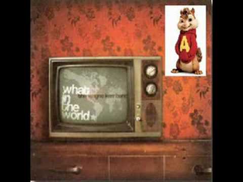 What in the World - Wayne Kerr - Chipmunk