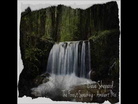 Dave Shepard The Forest Speaking Ambient Mix
