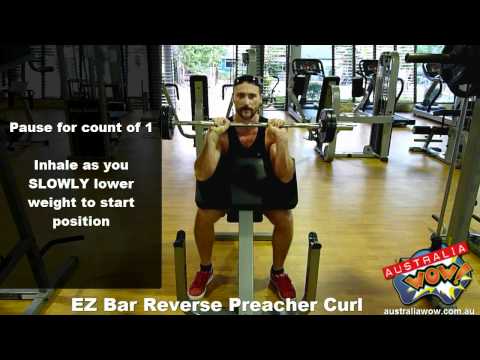 EZ Bar Reverse Preacher Curl