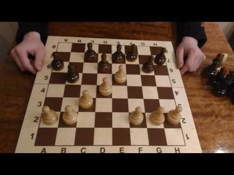 Шахматы. Урок 4 для начинающих. Ход конем, ход пешкой, превращение пешки