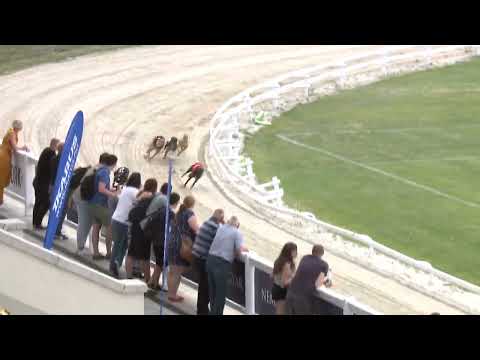 2022.06.16. 01. futam - Kincsem Park Sprint Derby Negyeddöntő I. futam