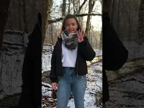 Wie hängen der Wald und das Klima zusammen? #shorts