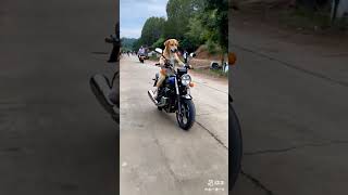 Download lagu Main nikala o Gaddi leke #song #dog#dog #music  lover#animal#doge#dog shorts mp3 Download lagu Main nikala o Gaddi leke #song #dog#dog #music  lover#animal#doge#dog shorts mp3