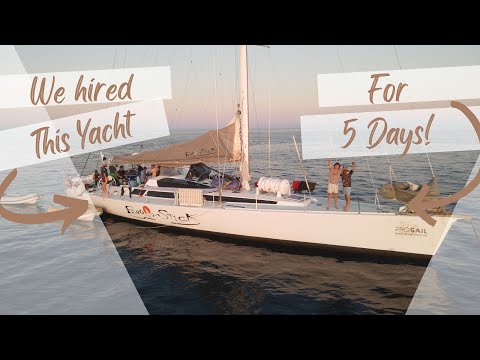 BLUE WATER SPEARFISHING (Outer Great Barrier Reef)
