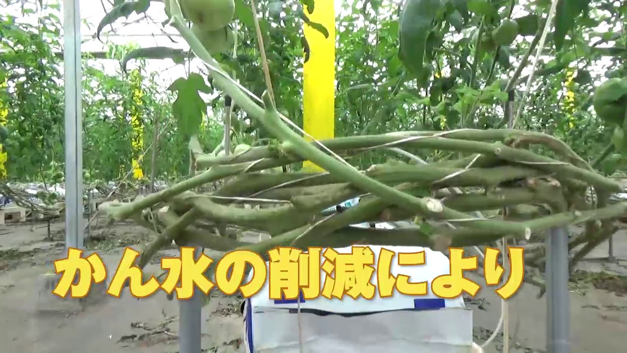 有限会社メーコー精機