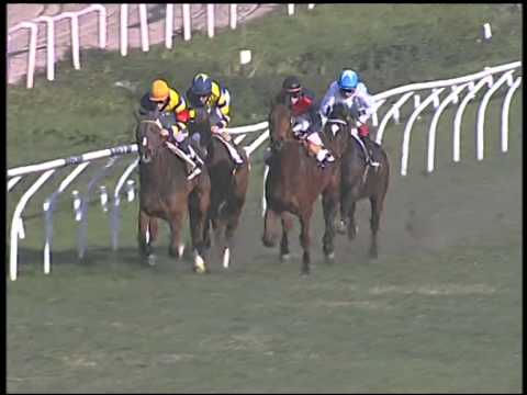 Galoppo 04/01/2015 - 1° corsa