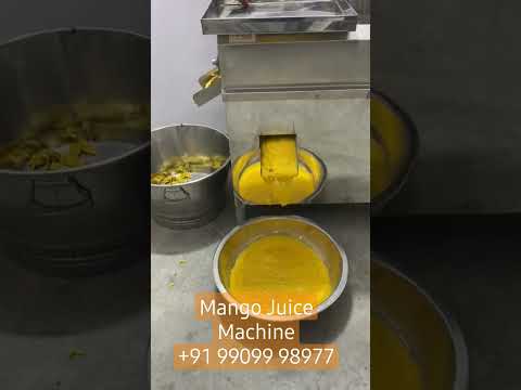 Mango Juicer Machine