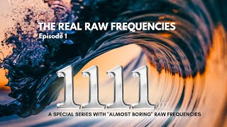 1111 Hz Frequency in its purest format : RAW