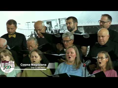 Mesagerii Sperantei - Doar Tu esti Sfant