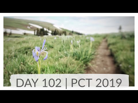 I FINALLY GET ANGRY & HAVE AN OUTBURST!! - DAY 102 | PCT 2019