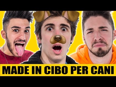 Che dare a un cane da pastore da vermi Ci sono vermi dopo una targa