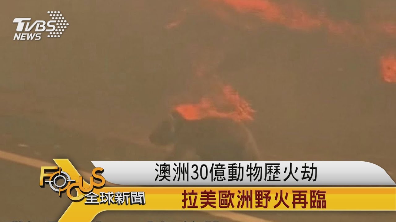 澳洲30億動物歷火劫 拉美歐洲野火再臨