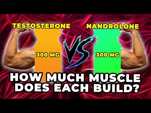 300 MG Testosterone Vs. 300 MG Nandrolone - Exactly How Much Muscle Does Each Build?