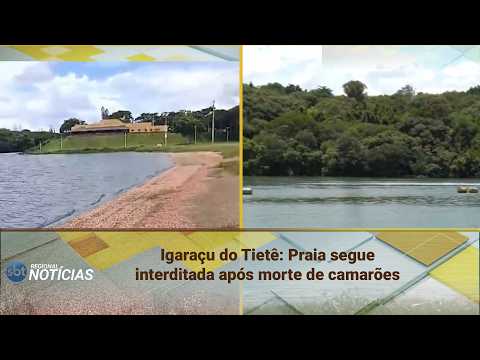 Igaraçu do Tietê: Praia segue interditada após morte de camarões (19/02/2026)