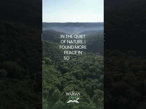 Alone in Nature, but Truly at Peace 🌿#PeaceOfMind #FakeFriends #NatureTherapy #SelfCare #shorts