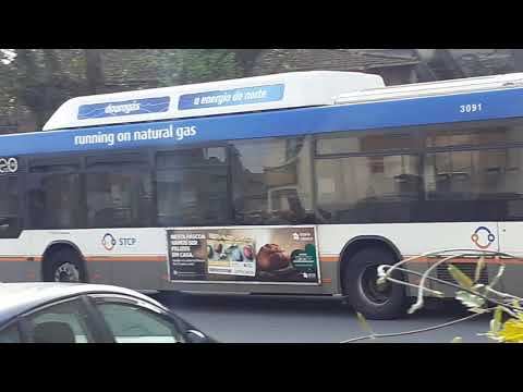 STCP linha 805 veiculo 3091