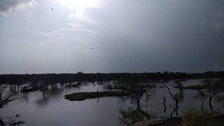 preview picture of video 'Ankasamudra Bird Sanctuary'