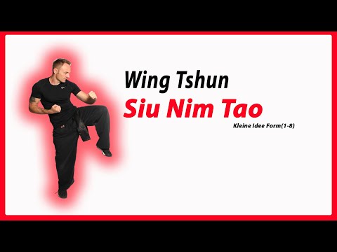 Siu Nim Tao Form Sets 1-8 in Slow Motion [#wingtsunkungfu  - #wingtsun #wingchun #詠春 #詠春拳 ]