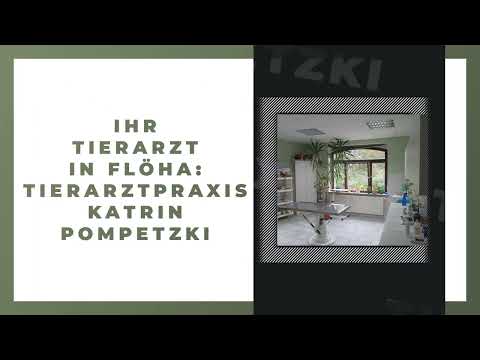 Tierarztpraxis Katrin Pompetzki YouTube-Vdeominiatur 5