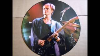 Sting - Love Is The Seventh Wave (New Mix)