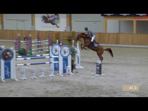 Zidan v. Zinedine-Sandro, Late Entry Riesenbeck Springpr. Kl. M**