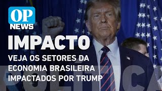Agro, aço, têxtil: veja os setores da economia brasileira impactados por Trump l O POVO NEWS