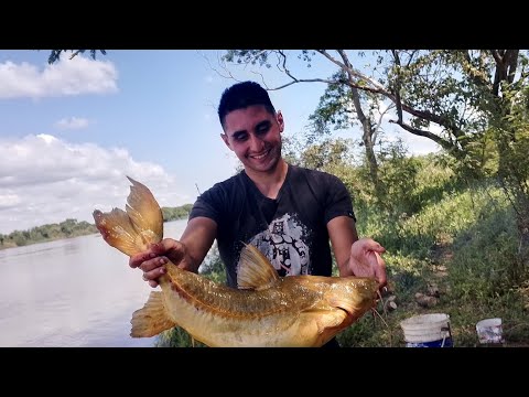 Pesca en Esquina Corrientes (capitulo 2)