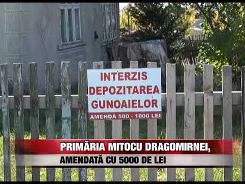 PRIMARIA MITOCU DRAGOMIRNEI AMENDATA CU 5000 DE LEI