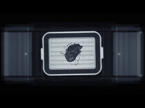 Natos y Waor and RECYCLEDJ