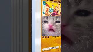 OG Sets π₯ - Opening 10 Pocket Booster Packs - Shining Revelry β¨