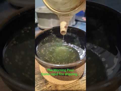 The Morning Pour. Rapid fire... in slomo. 🤣 #tea #greentea #asmr #sencha #slomo #tenmoku