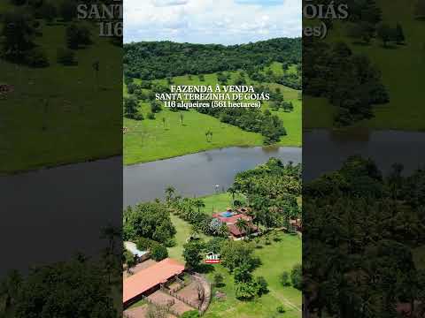 LINDA FAZENDA À VENDA – SANTA TEREZINHA DE GOIÁS,  116 alqueires (561 hectares) #fazendaavenda #agro