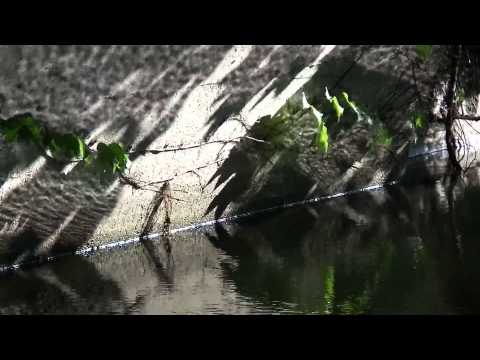 Vizicsoda * Szemző Tibor / Water Wonder 1982