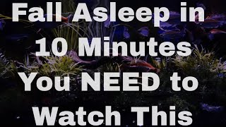 THE BEST Sleep Aid Video: The Insomnia Key (fall asleep fast)